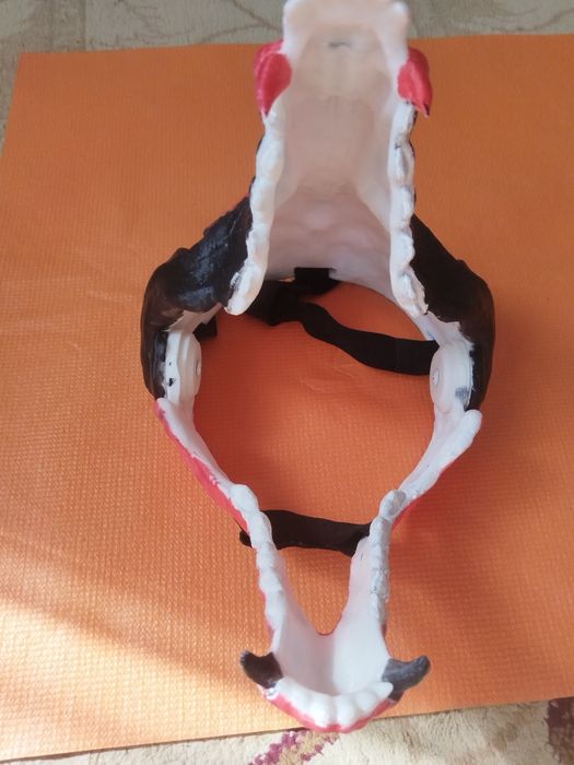 маска скалл дога