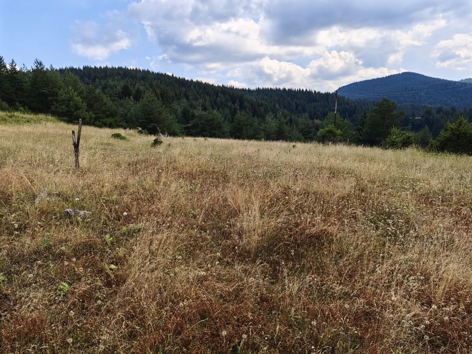 Парцел в село Лилково