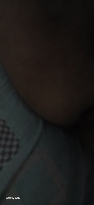 Даром даром даром кошка