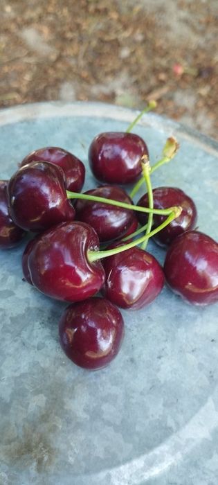 Жакси кощеттер бар