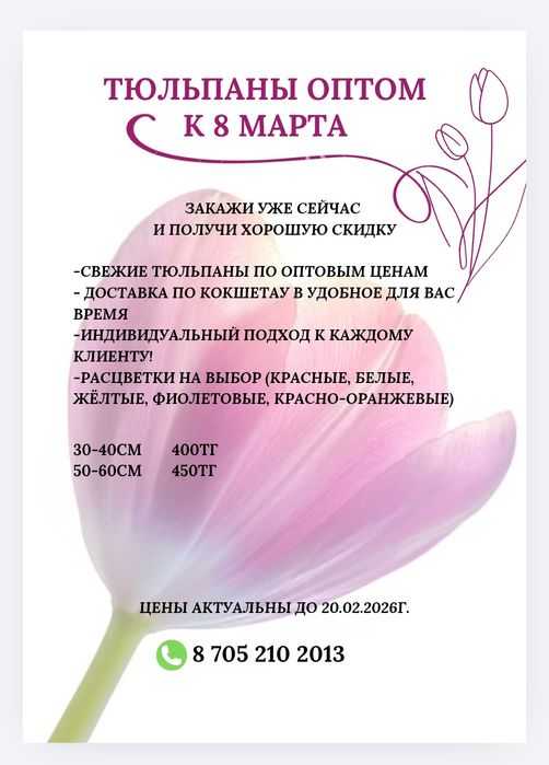 Предзаказ тюльпанов на 8 марта