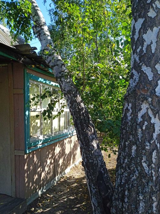 Продам дачу за Новопавловкой