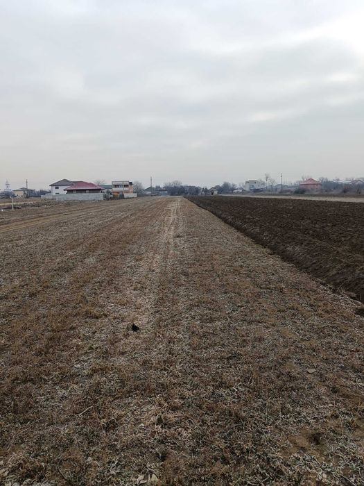Teren de vânzare 4800 mp zona Maracineni, Buzau