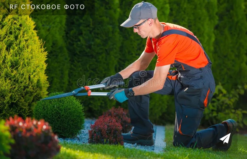 Садовник сервис обслуживание дом уход за комнатными, офисными растен