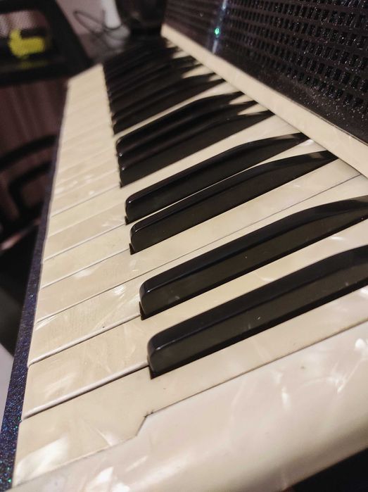 Acordeon Hohner ( sită) 120 basi