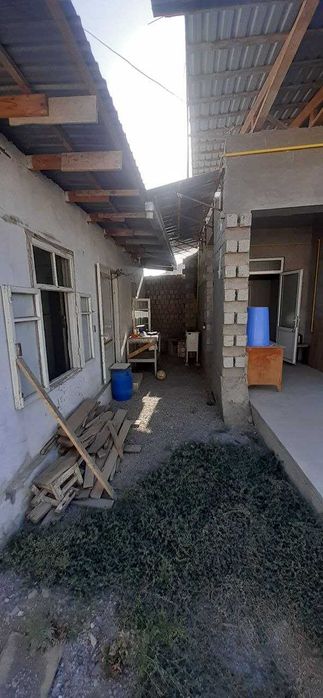 Kotta qanida joy bor