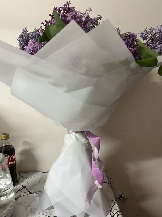 сирень   свежий