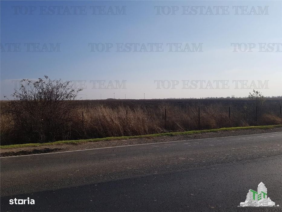 Teren extravilan - Braila - E584 - vanzare