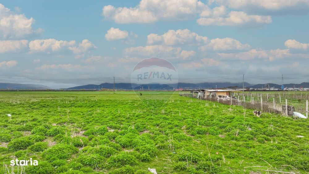 COMISION 0% | Teren intravilan hale producție/depozitare | Brașov