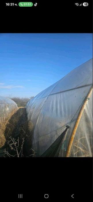 Оранжерии на  3г. + найлон