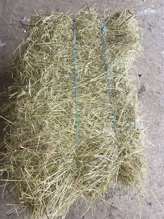 Baloti de fan de vanzare