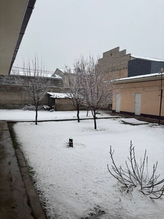 Бектемирский район