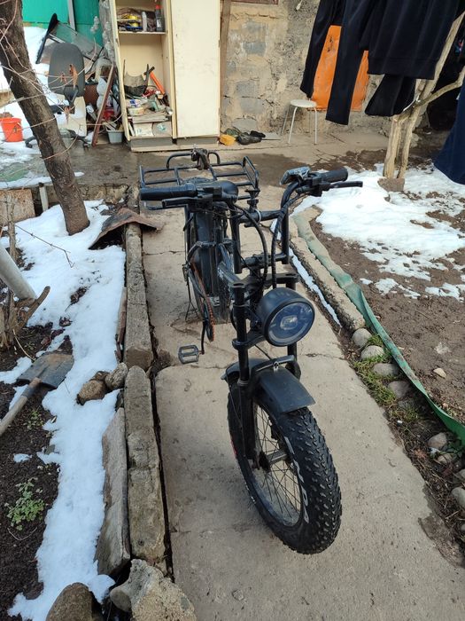 Леопард электровелик