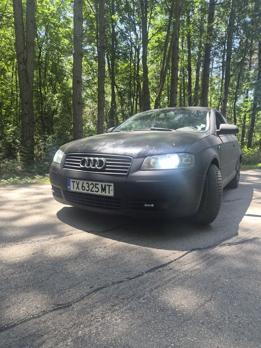Audi A3 8p 2.0TDI