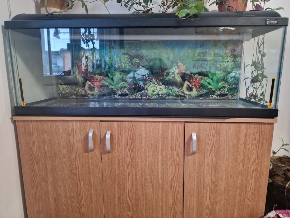 Acvariu 180 L cu capac si lumini