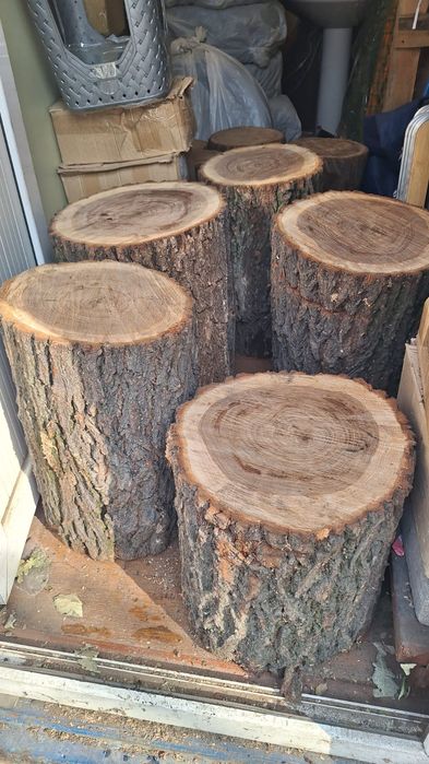 Продам пеньки карагача