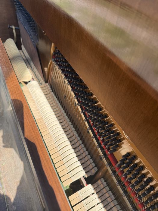 Pianina Steinberg