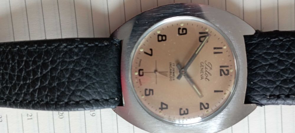 Ceas Pilot Geneve