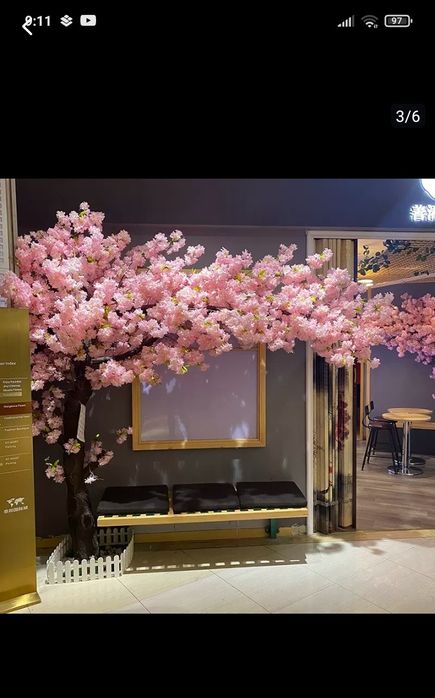 Dikarativni daraxtlar