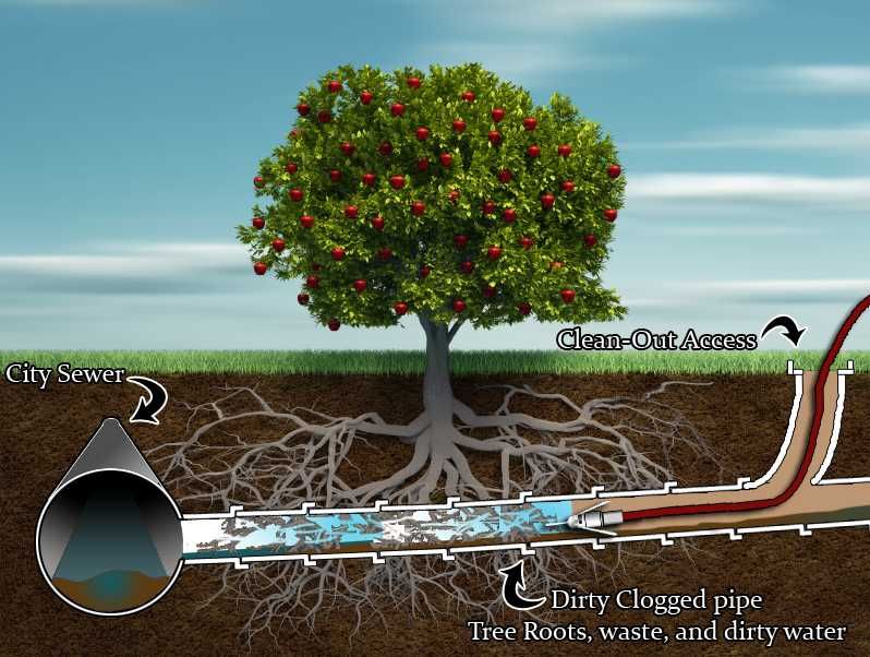 Vidanjare Fosa Septica Ecologica Desfundare