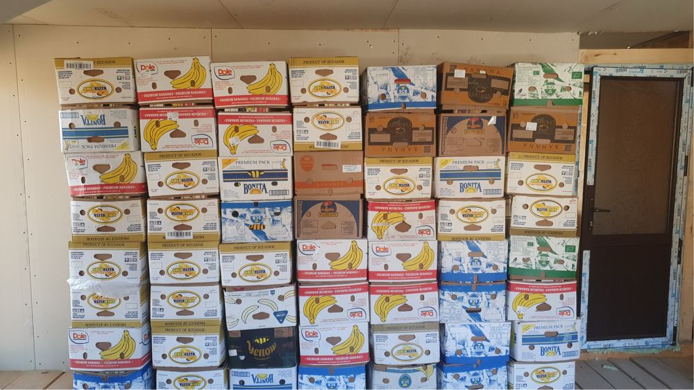 Baxuri cutii de banane noi toate