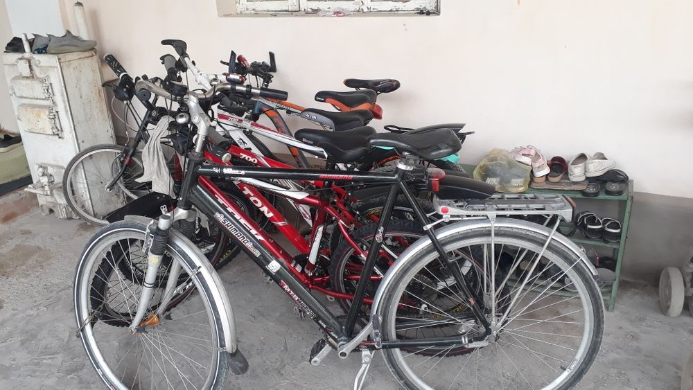 Veliklar holati yaxshi