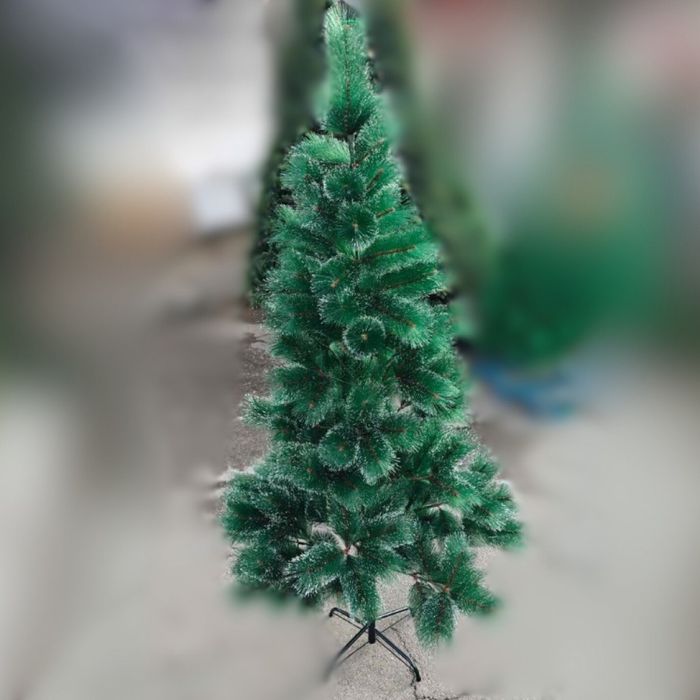 Елхи на промо цени
