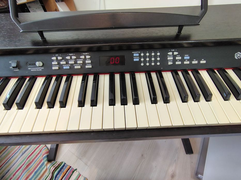 Orga Pianina DELSON NP10