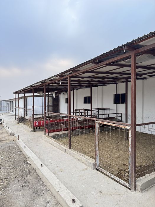 Қора сатылады жағдае жасалған