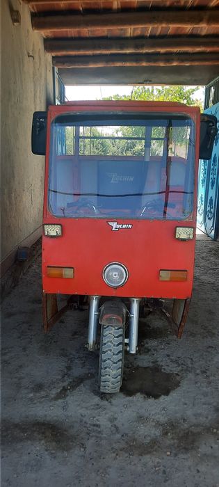 Муравей мотор  лочин