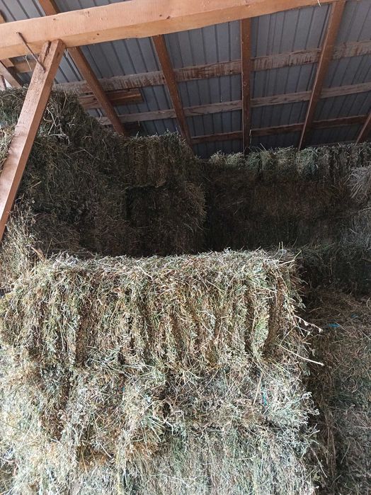 Baloti de vanzare