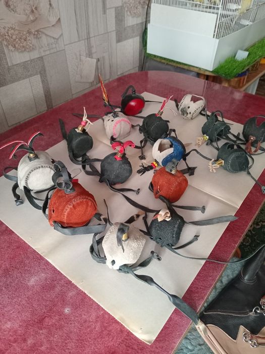 Принадлежности для ловчих птиц.