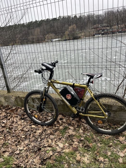 Bicicleta electrica
