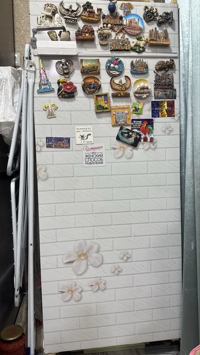 Холодильник Бирюса -6