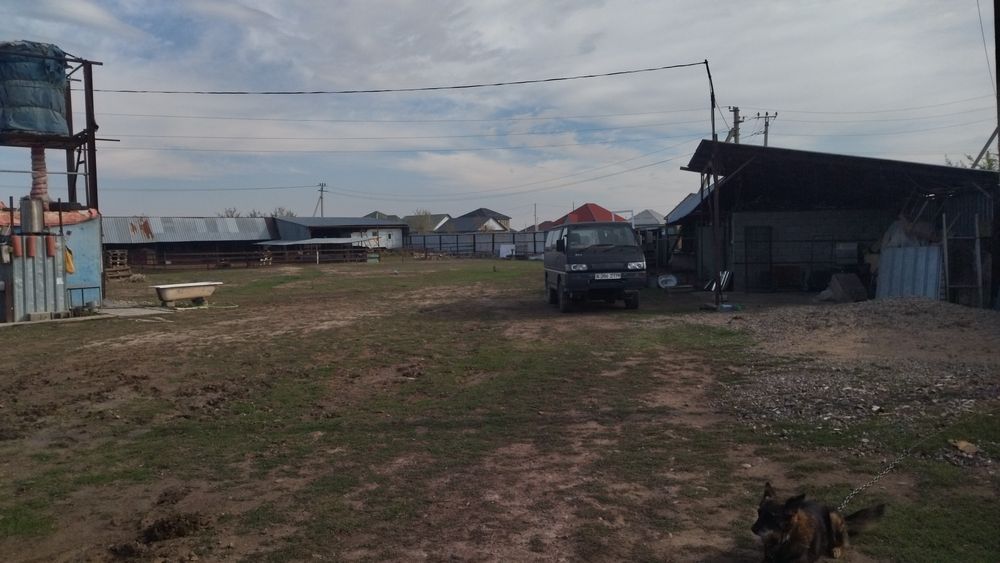 Дом, 50 соток земли.