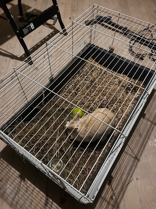 Декоративно зайче с клетка