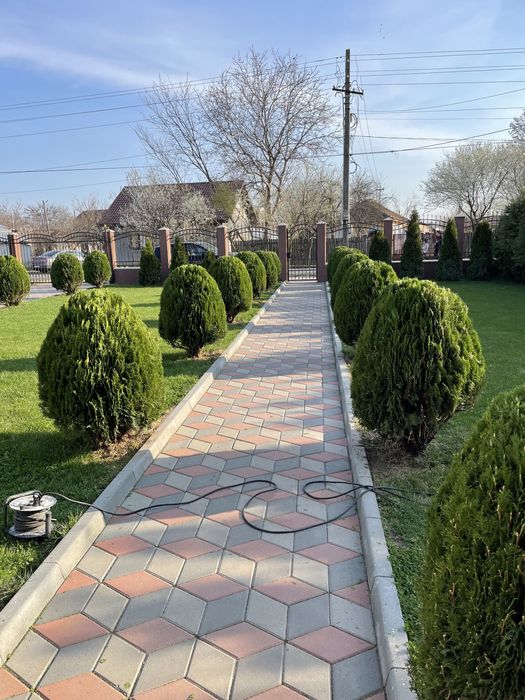 Amenajari spati verzi , intretinere si ingrijire Gradini !!!