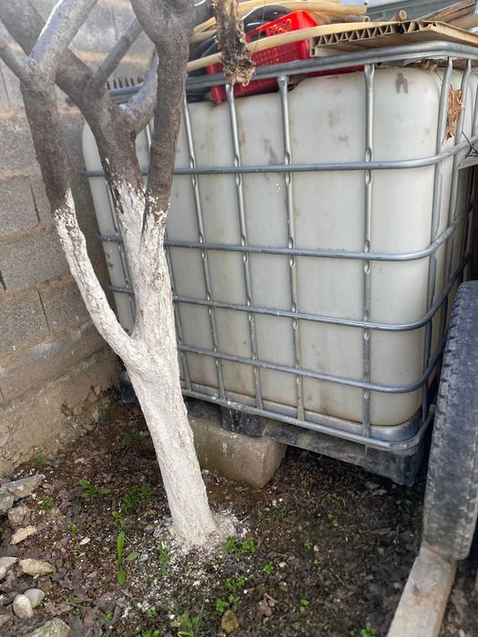 Емкость, Еврокуб Тонник для воды