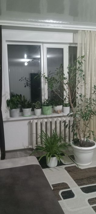 Продам 4 ком  дом.