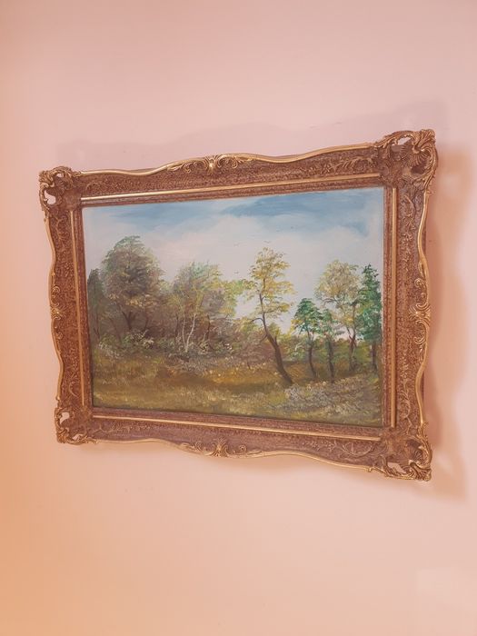 Vând pictura  natura