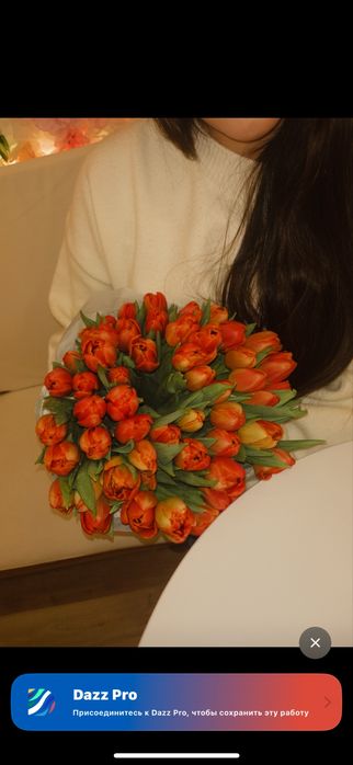 Голландские пионовидные тюльпаны