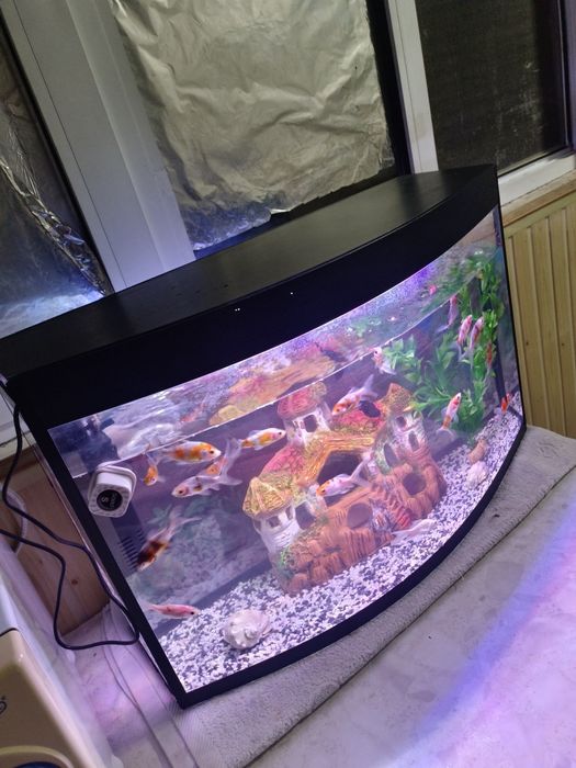 Avalniy Akvarium komplekt 60Litr
