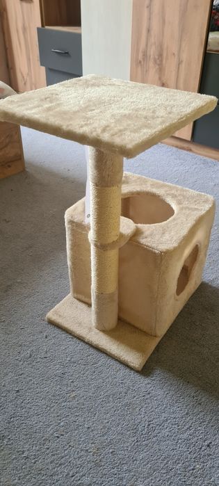 Котешка катерушка