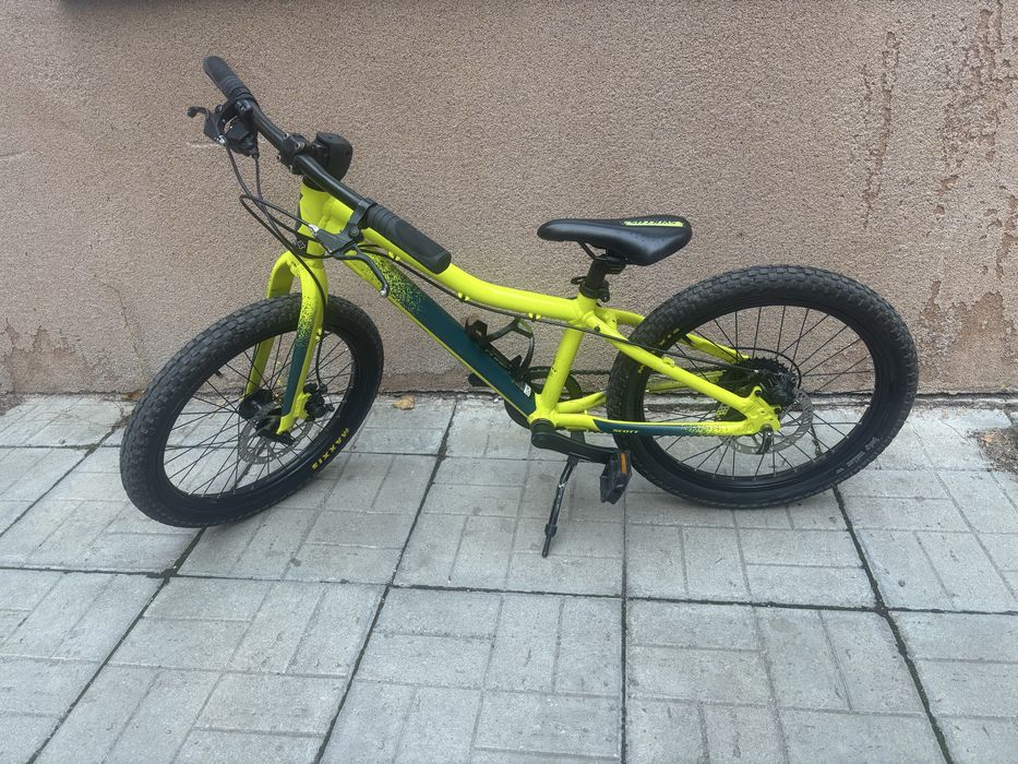 Scott Roxter 20”