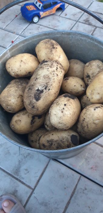 Дача в районе Борки