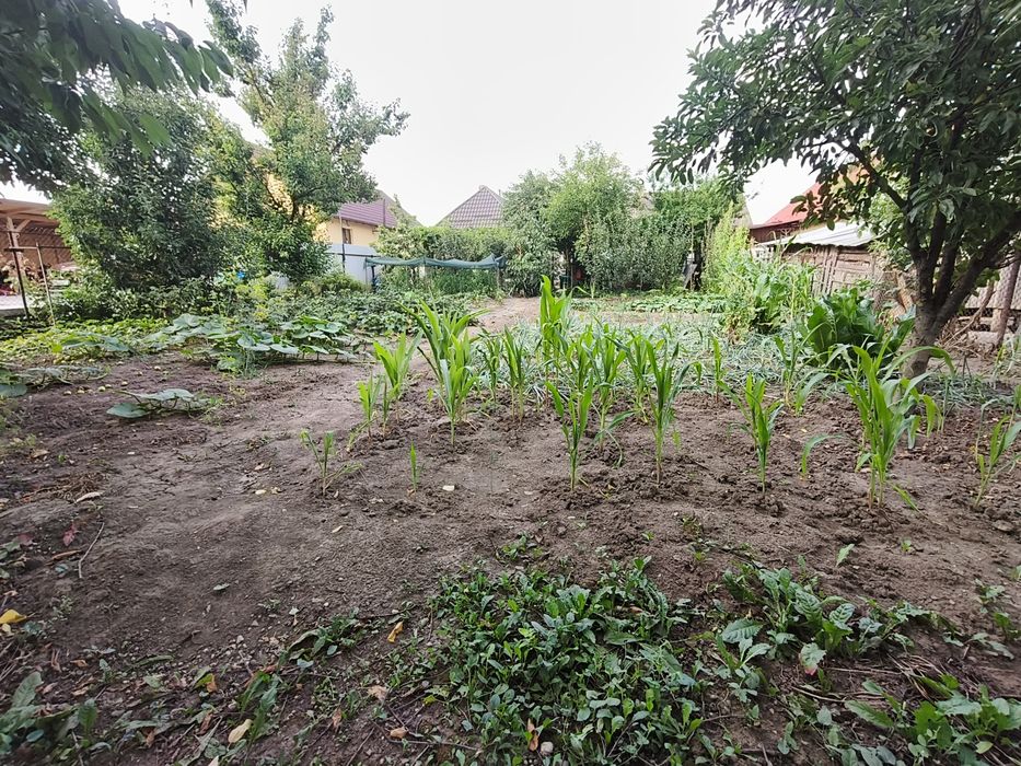 Casa de vânzare în Zănești, Jud Neamt