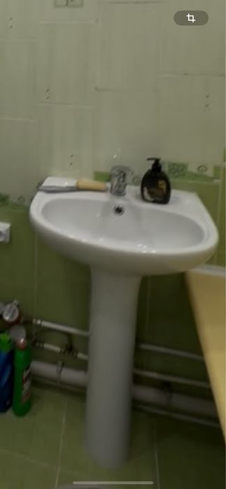 Тюльпан раковина