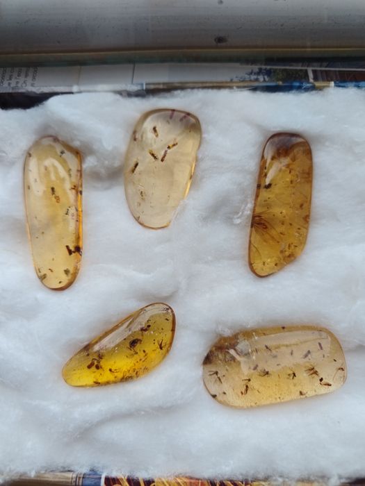 „Lot 5 bucăți copal natural Madagascar cu incluziuni – 30,1 g