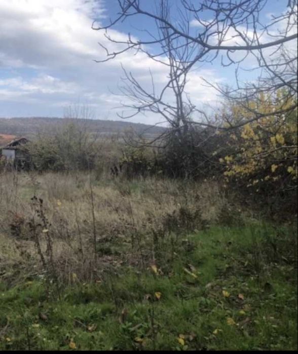 Продава се Парцел в с. Церова кория, Област Велико Търново - 1360 кв.м за 11 €/кв.м - Снимка #1