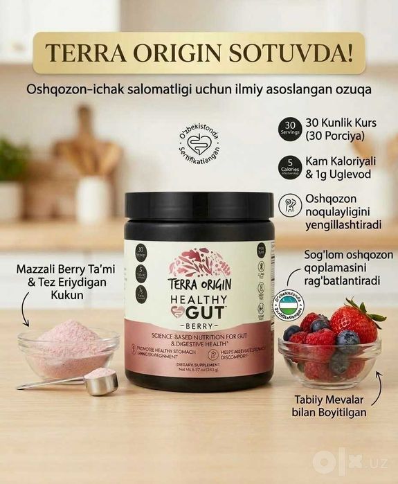 Healthy Gut Terra Origin